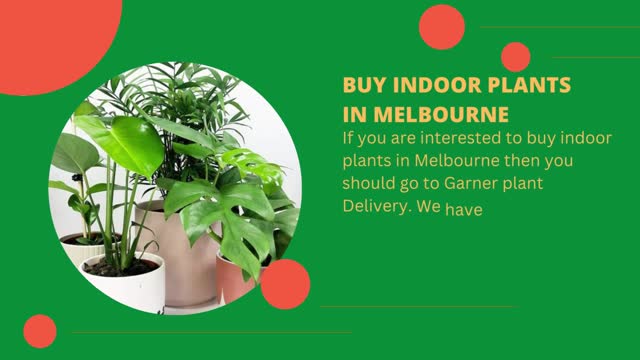 Get The Best Indoor Plants In Melbourne