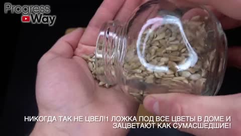 Никогда Так Не Цвел! 1 ложка