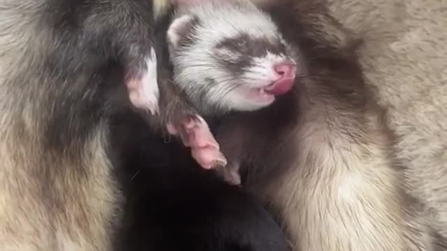 Gotta keep myself clean 🧼