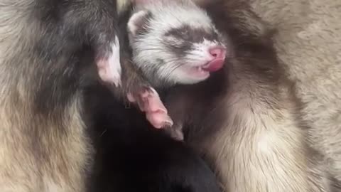 Gotta keep myself clean 🧼