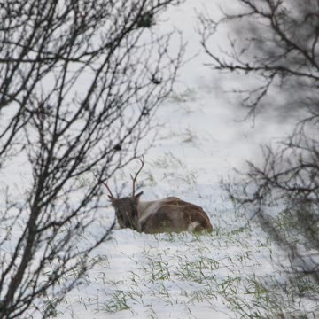 A BEAUTIFUL SURPRISE😍