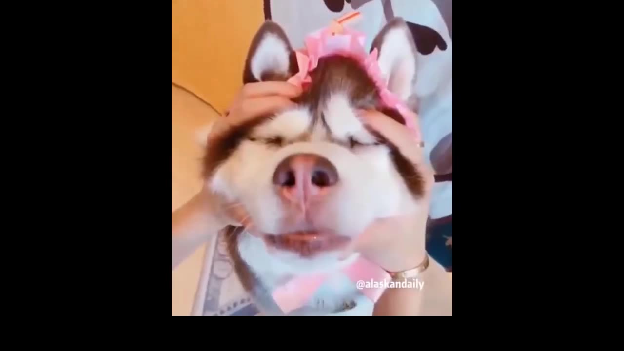 Funny video Cube#1