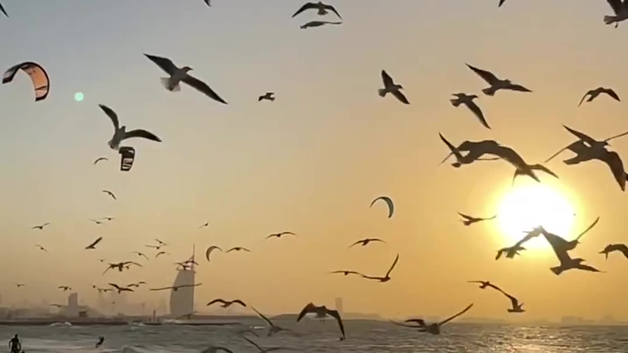 Amazing 🤩😍😍😍 Dubai sunrise