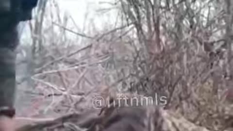 18+ Destroyed Ukrainians infantry in the Kursk region.