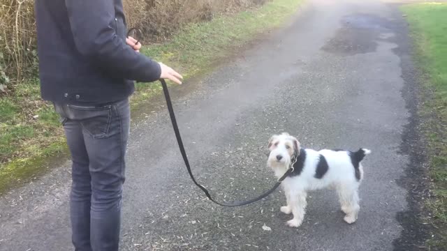 /home/malide/Téléchargements/y2mate.com - MON CHIEN TIRE EN LAISSE COMMENT FAIRE