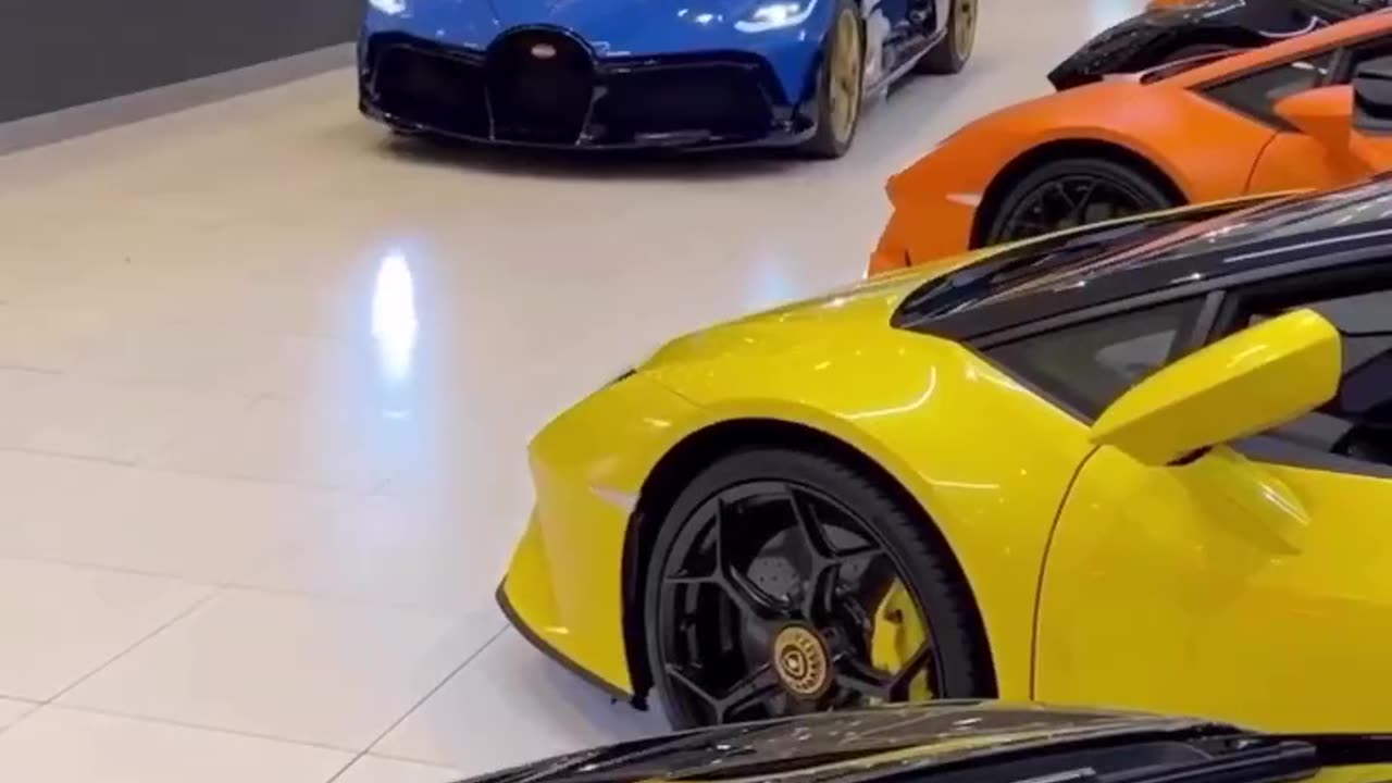 Sport's Cars Collection Store 2024