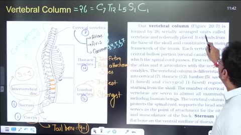 Locomotion and movement || one shot lecture || NEET 2024 ||