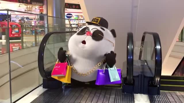 Cool panda😎😎😎