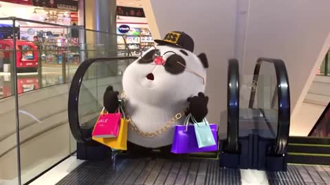 Cool panda😎😎😎