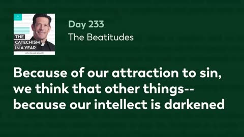 Day 233: The Beatitudes — The Catechism in a Year (with Fr. Mike Schmitz)