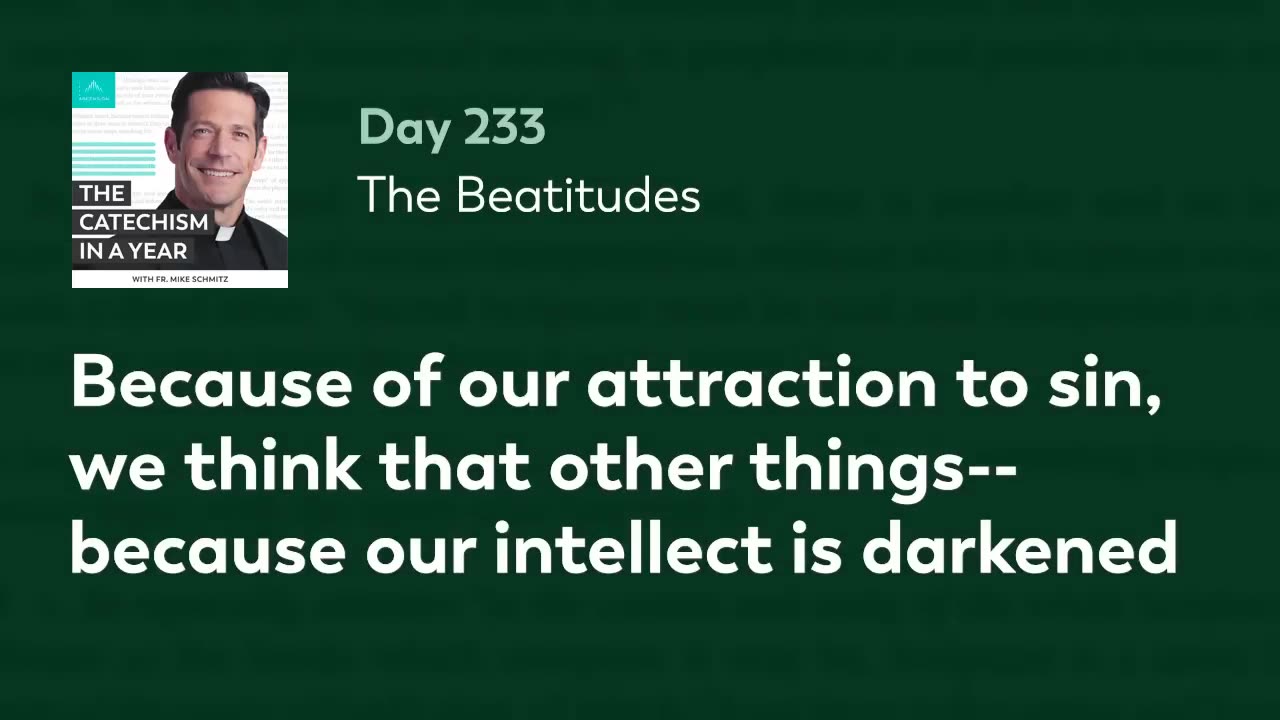 Day 233: The Beatitudes — The Catechism in a Year (with Fr. Mike Schmitz)