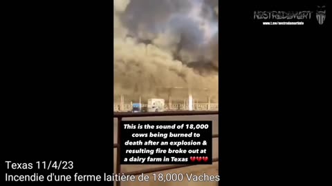 WATCH THE WATER #7 Déraillement et 18.000 vaches tuées dans une explosion (Extrait NostradaNews 115)