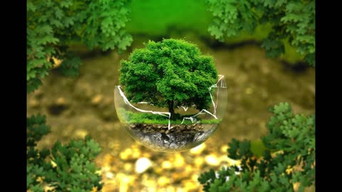 Relaxing Music | Sleeping, Meditation, Stress Relief | [1145] ⭐️