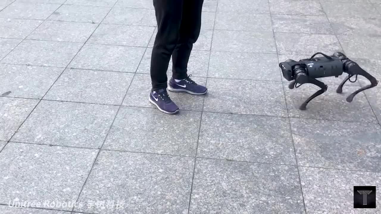 Unitree A1 Robot Dog