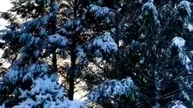 Winter December is the most beautiful scenery