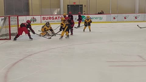 Pens elite action with Z