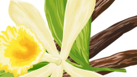 ***Vanilla: A Sweet Journey from Origin to Plate***