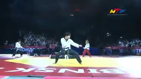 Taekwondo