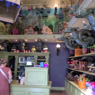 Inside Magical Menagerie At The Wizarding World Of Harry Potter In Florida! #wizardingworld