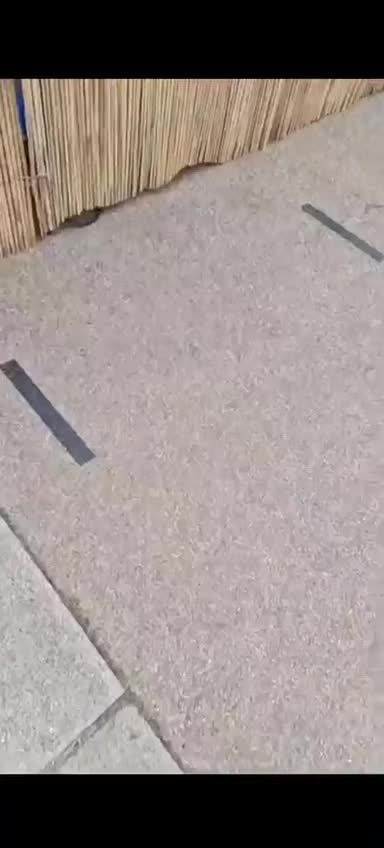 Covid passports, planned years ahead