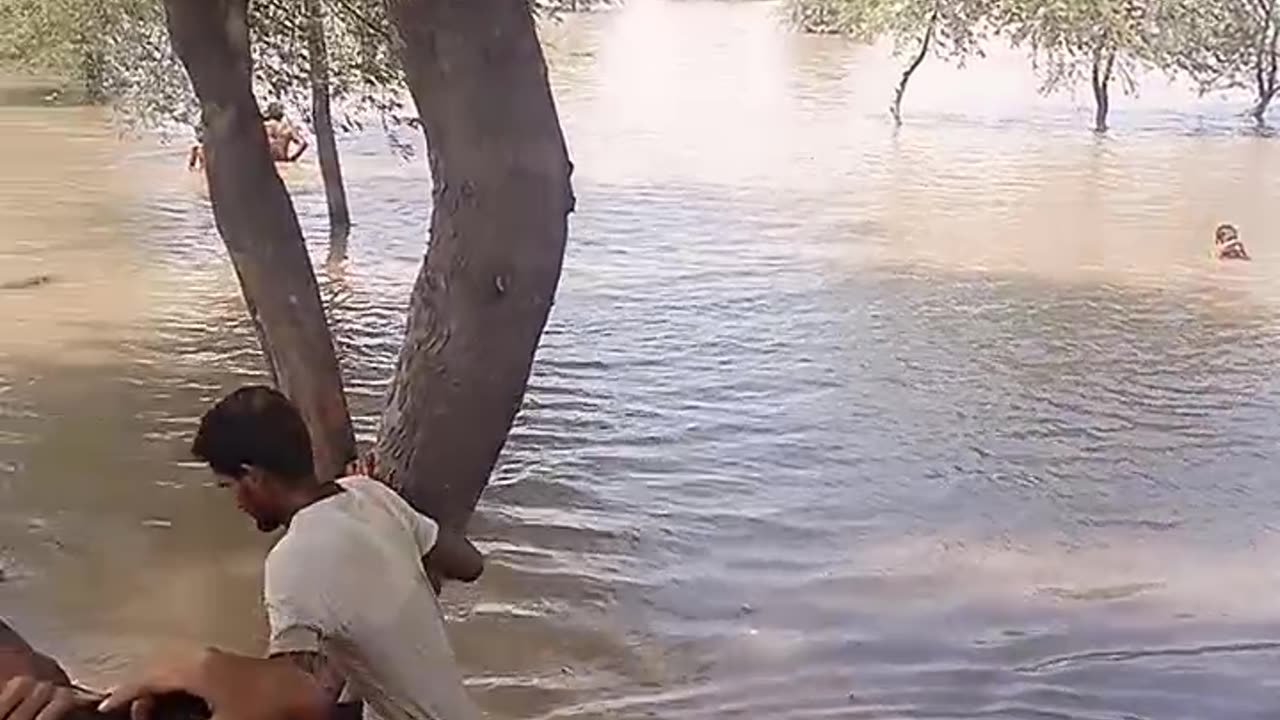 Flood In Pakistan Bahawalpur