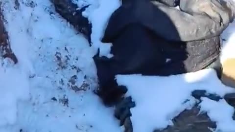 Russians Leave Trenches Full of Them