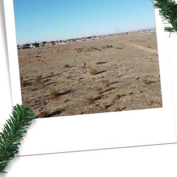 No te pierdas esta oportunidad de propiedad de tierras en 2024 - Ancestry Lands