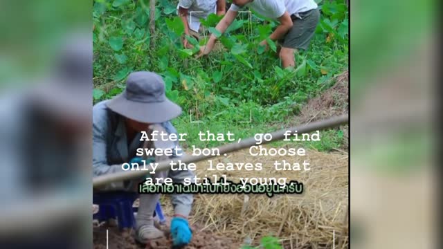 How to Cook Local Food for Low-Cost, Easy Living