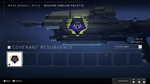 Halo infinite rewards for onyx rank