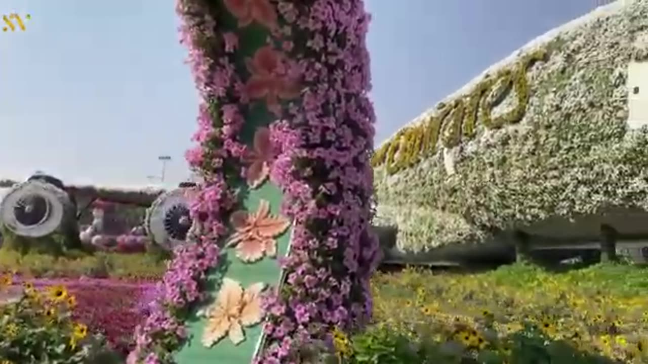 Miracle Garden Dubai