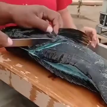 What is this fish ??? 🤔😱 Alien FISH 😂😂😂😂😂😂