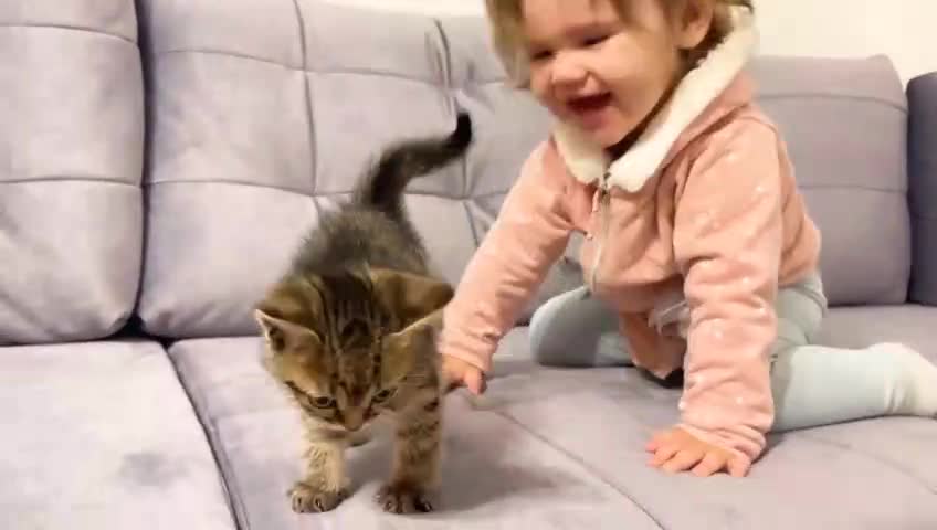 Cute Baby Meets New Baby kitten for the First Time!