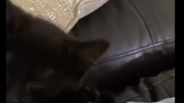 He's clearly planning his vengeance.