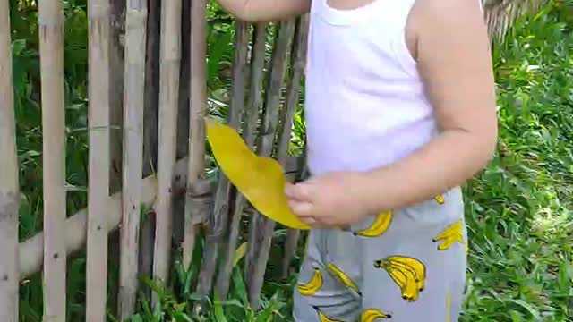 Baby Funy Playing in garden | Aisya baby