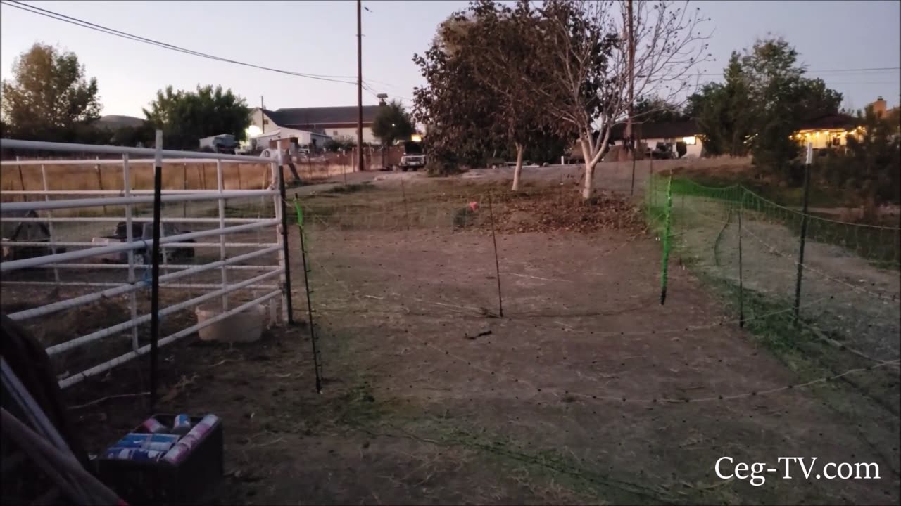 Graham Family Farm: Pig Pens