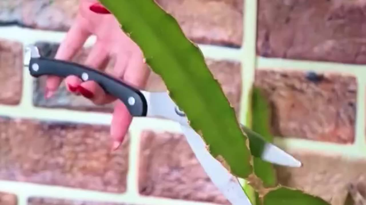 These gardening hacks totally worth your attention!