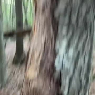 memes i found on tiktok pt.10