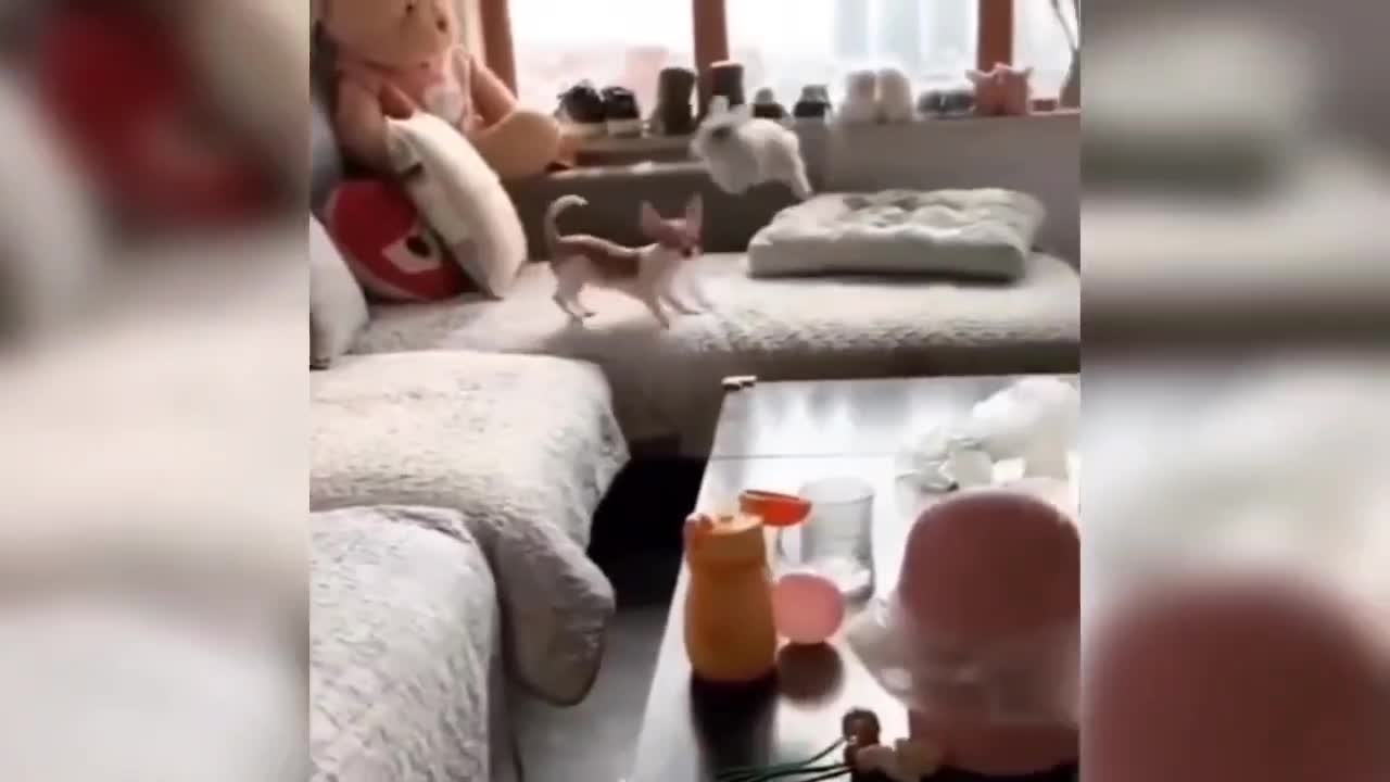 What's going on? You're racing me.