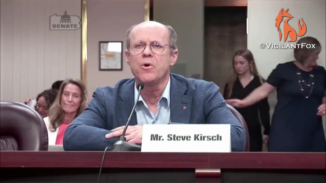 Steve Kirsch testified before the Pennsylvania State Senate