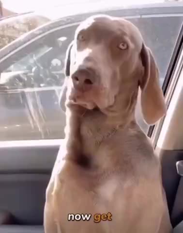 Buford! Buford! YOU LISTENIN'?