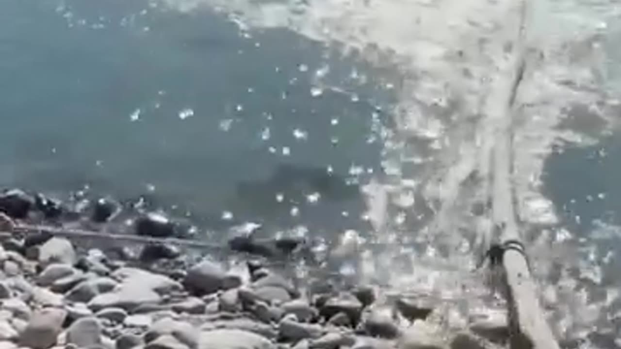 Sakrdu value