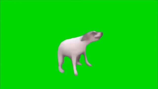 Dog Dancing green screen NCM [COPYRIGHT FREE MEMES]