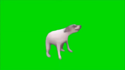 Dog Dancing green screen NCM [COPYRIGHT FREE MEMES]