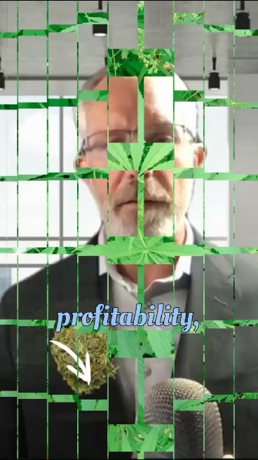 Cannabis Industry Struggles as Profitability Remains Elusive
