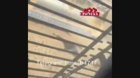 JEWS RUN OVER PALESTINIANS WITH BULLDOZER