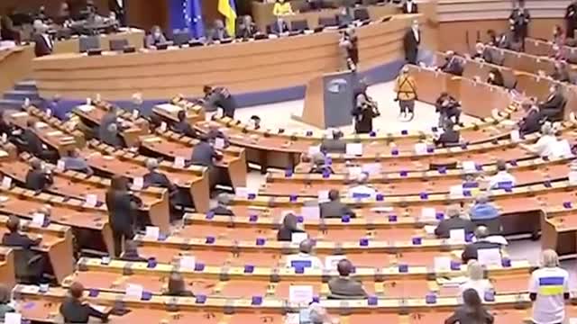 Translator chokes up during Zelensky's speech at EU Parliament