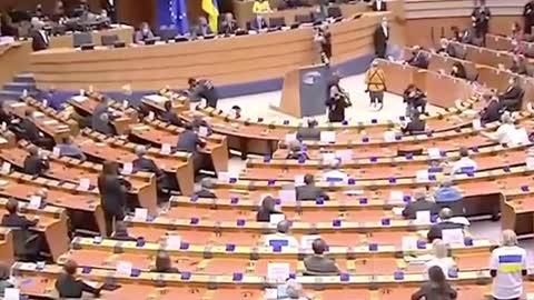 Translator chokes up during Zelensky's speech at EU Parliament