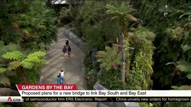 Gardens by the Bay celebrates 10 years, proposes building bridge to link Bay South and Bay East(1)