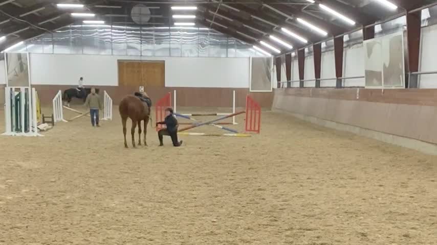 Horse Gets Cold Feet Before A Jump And Throws A Woman Off His Back