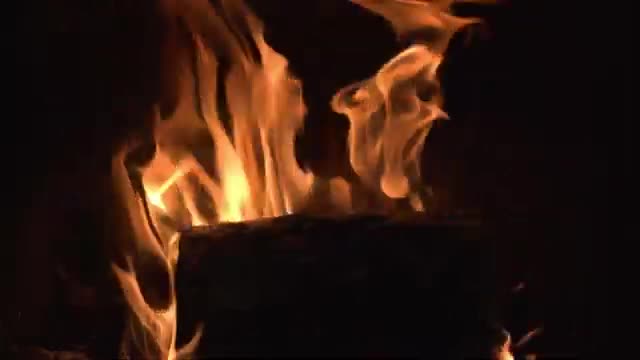 Relaxing Music | Sleeping, Meditation, Stress Relief | [1172] ⭐️